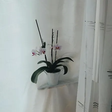 Fami Superior One Bedroom Daire Rijeka